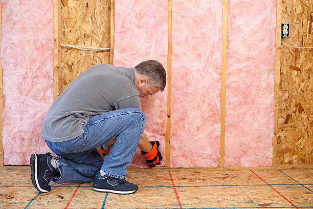 Best Insulation Maintenance and Repair in Mckee City, NJ